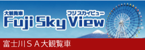 fuji_sky_view