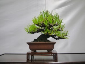P1070115