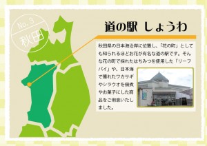道の駅しょうわ