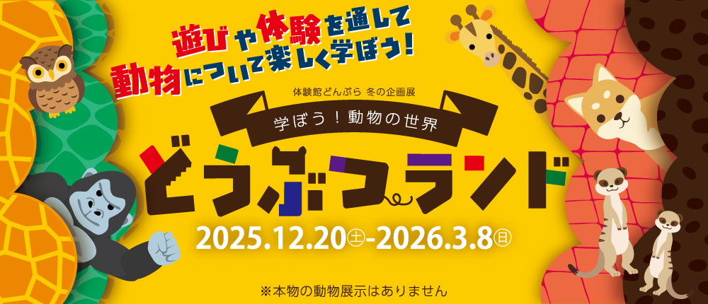 体感しながら学ぶ体験館どんぶら